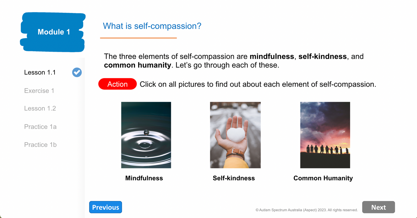 Clinician Version of Aspect Self-compassion Program for Autistic Adults (ASPAA)